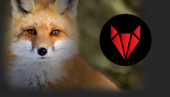 redfox labs
