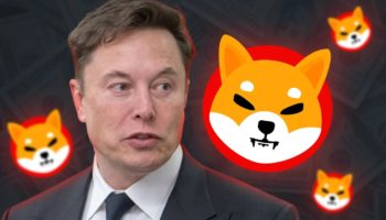 elon musk shib