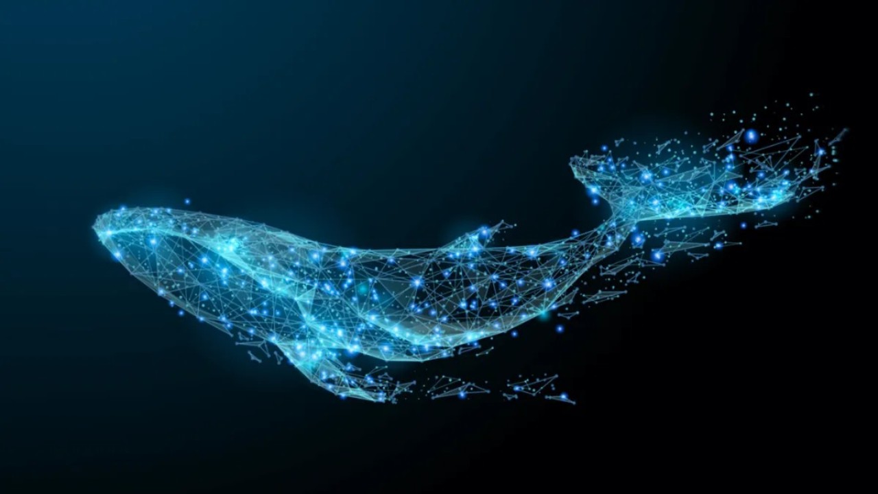 whale