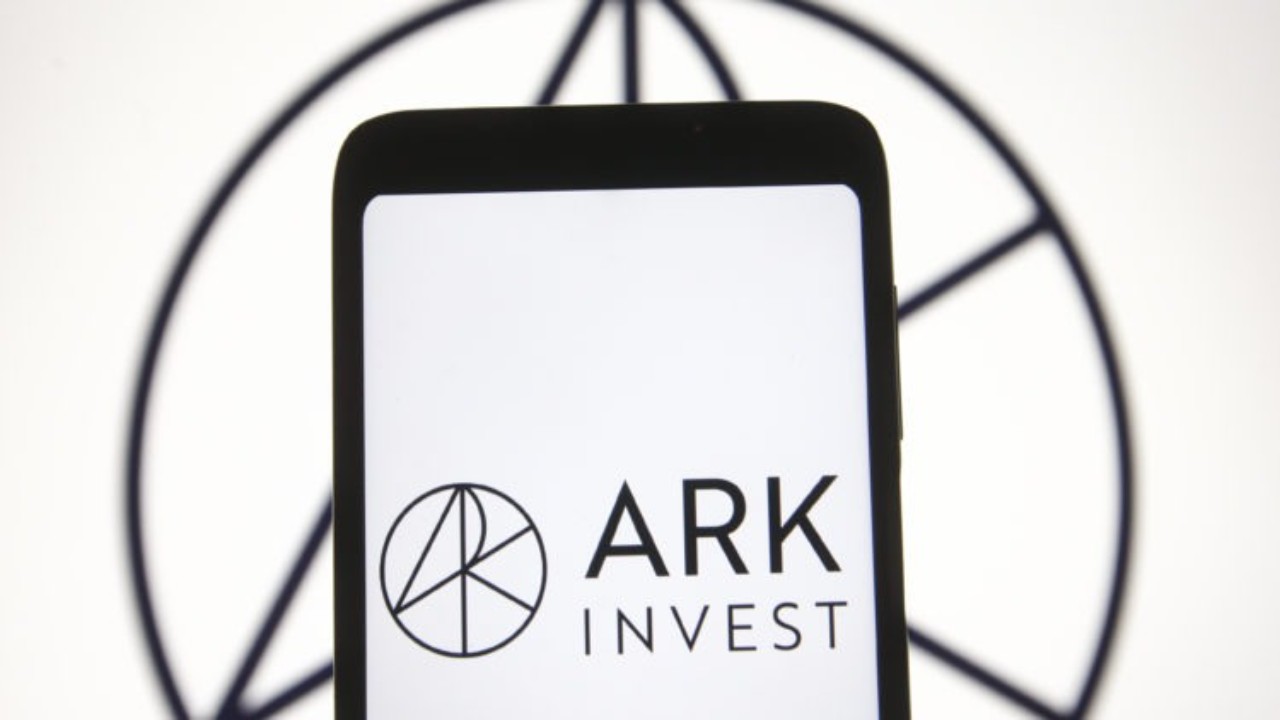 ark