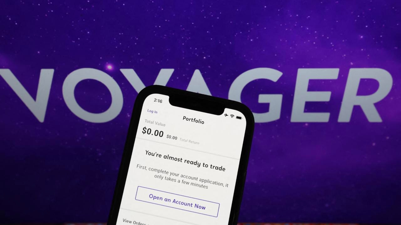 voyager digital 1
