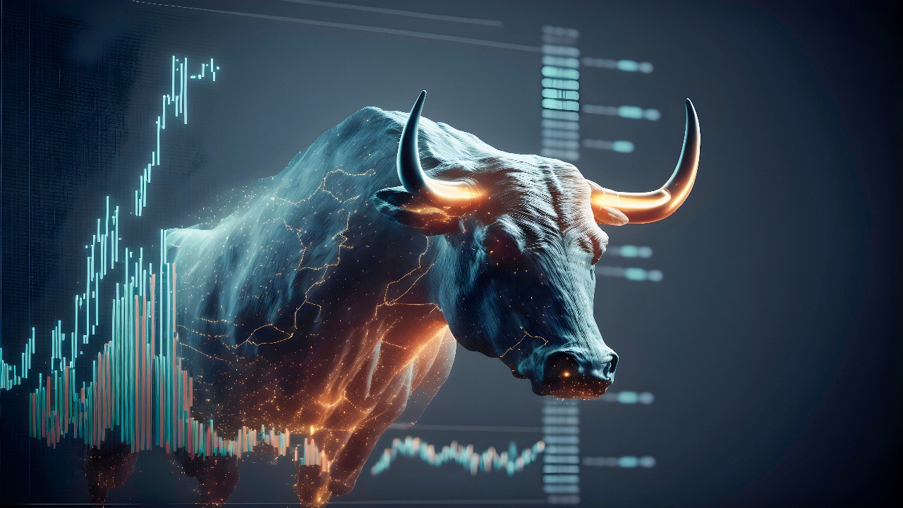 bull