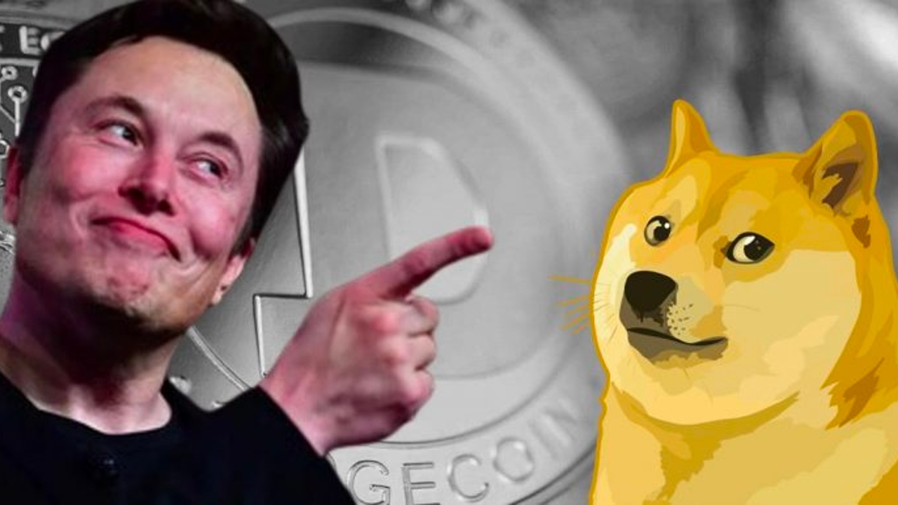 dogecoin elon