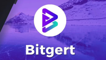 bitgert 1