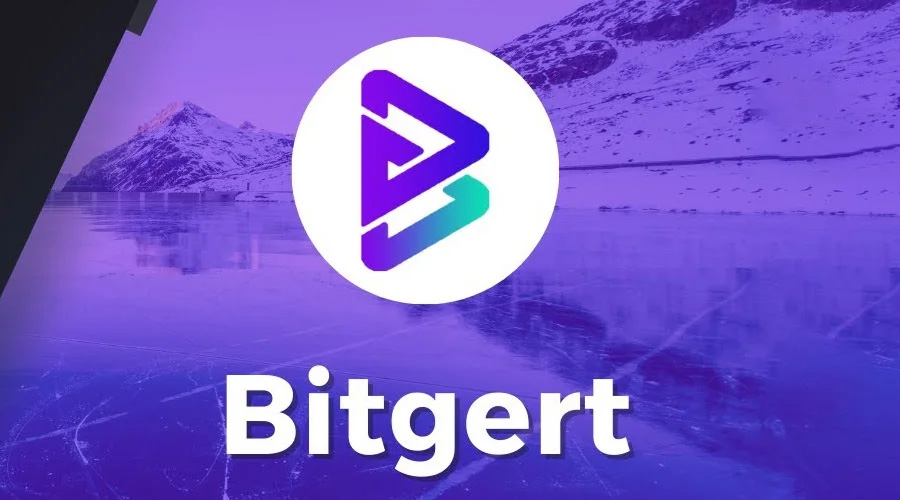 bitgert 1