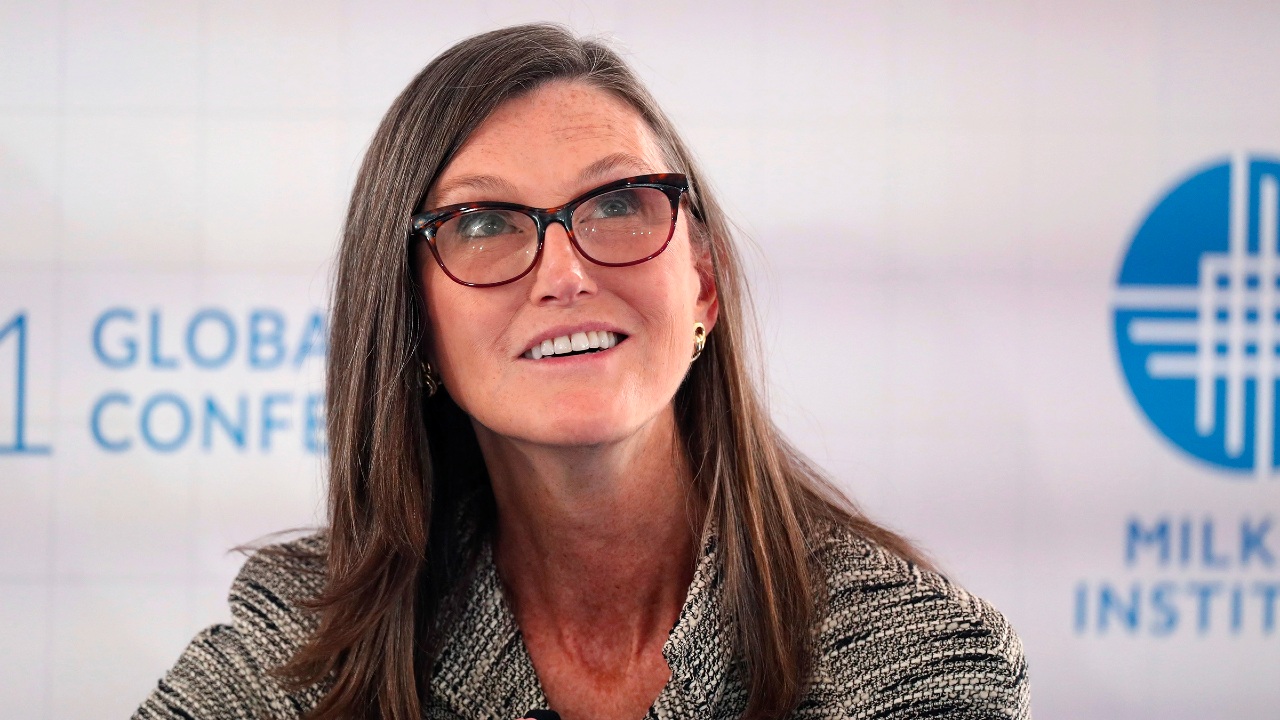 cathie wood ark invest