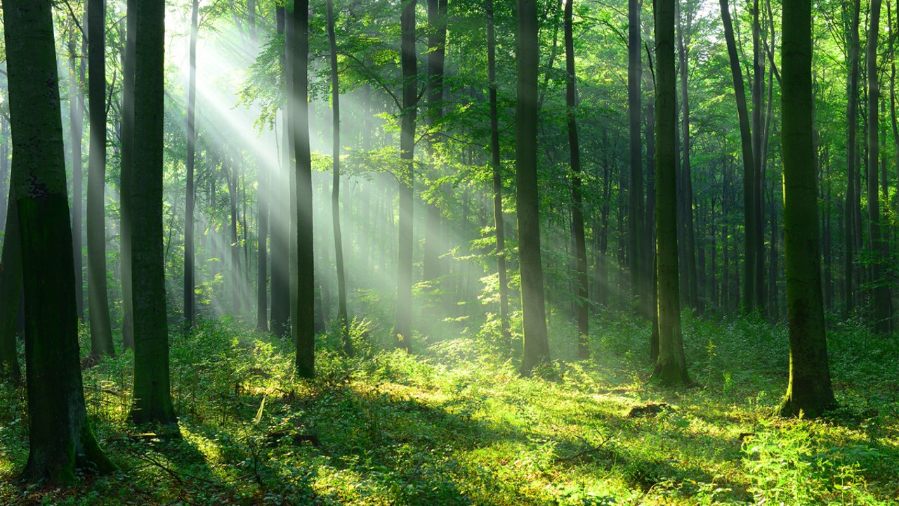 ecoterra cevreci