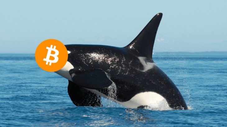 BTC balina
