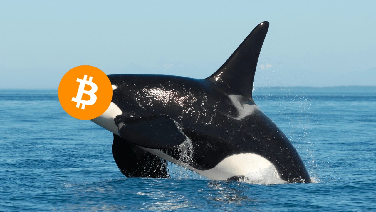 BTC balina
