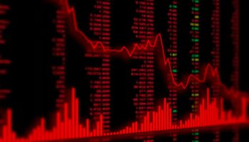 kripto para bob elon musk