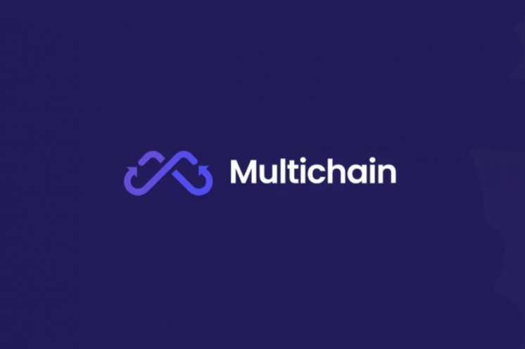 Multichain (MULTI) Nedir?