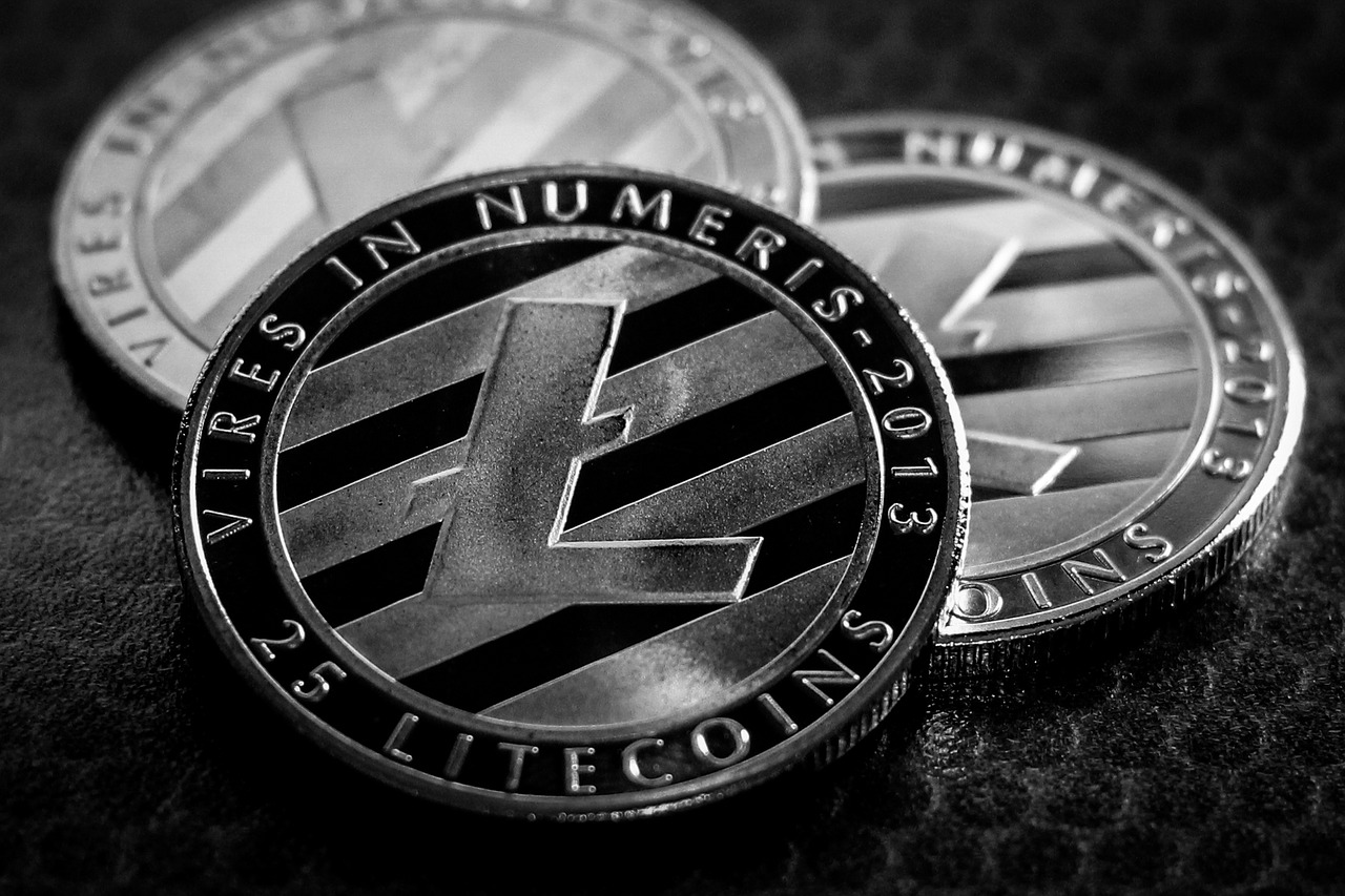 litecoin ltc visa
