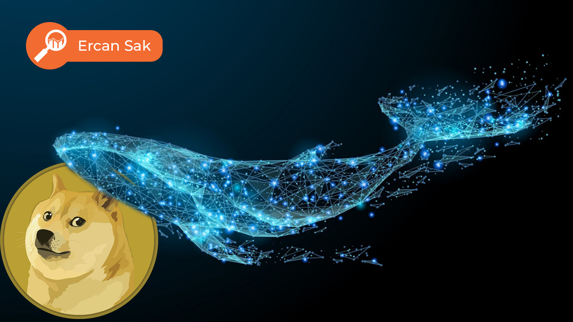 doge coin