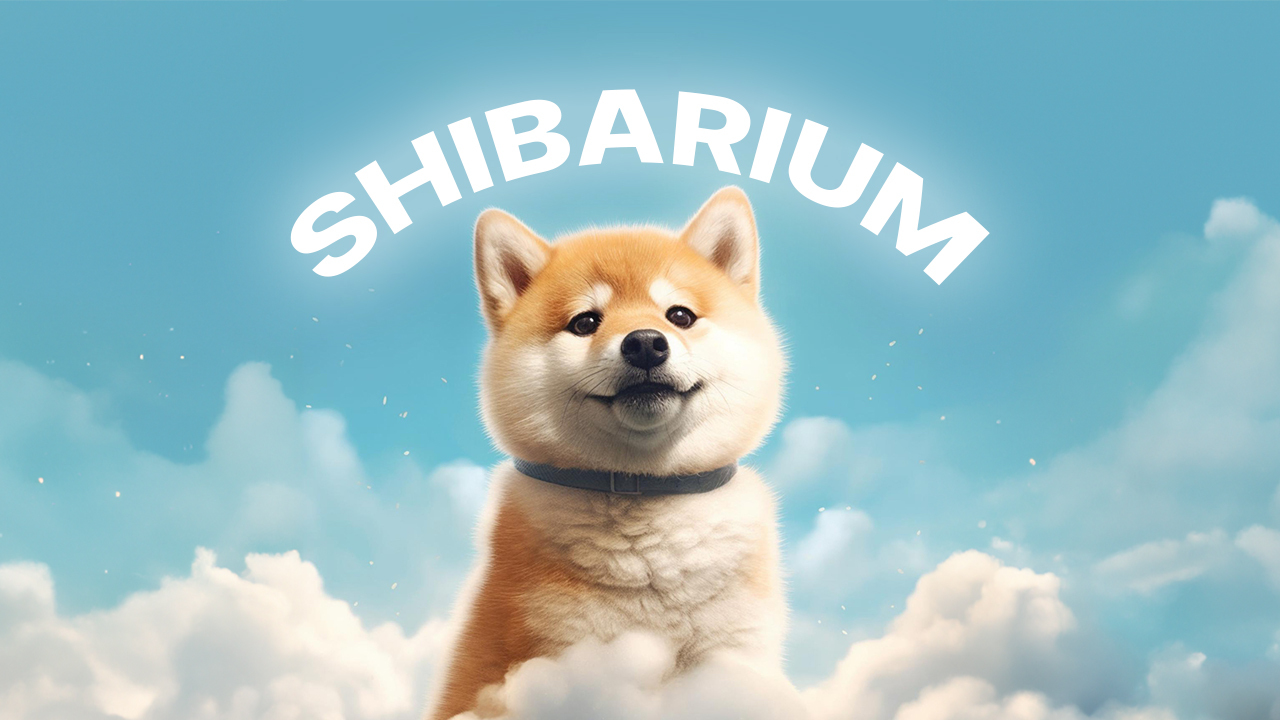 shibarium