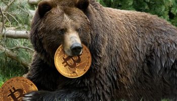 Bitcoin ayı