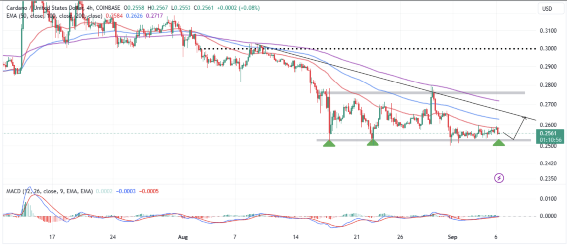 ADA fiyat iddiası: 2023 Cardano rallisi bu takviyeye bağlı!