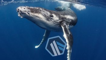 arbitrum balinaları