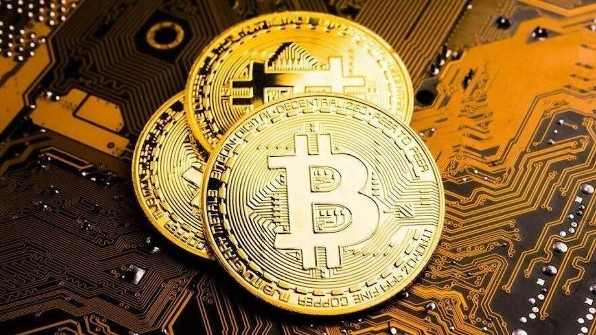 btc 555