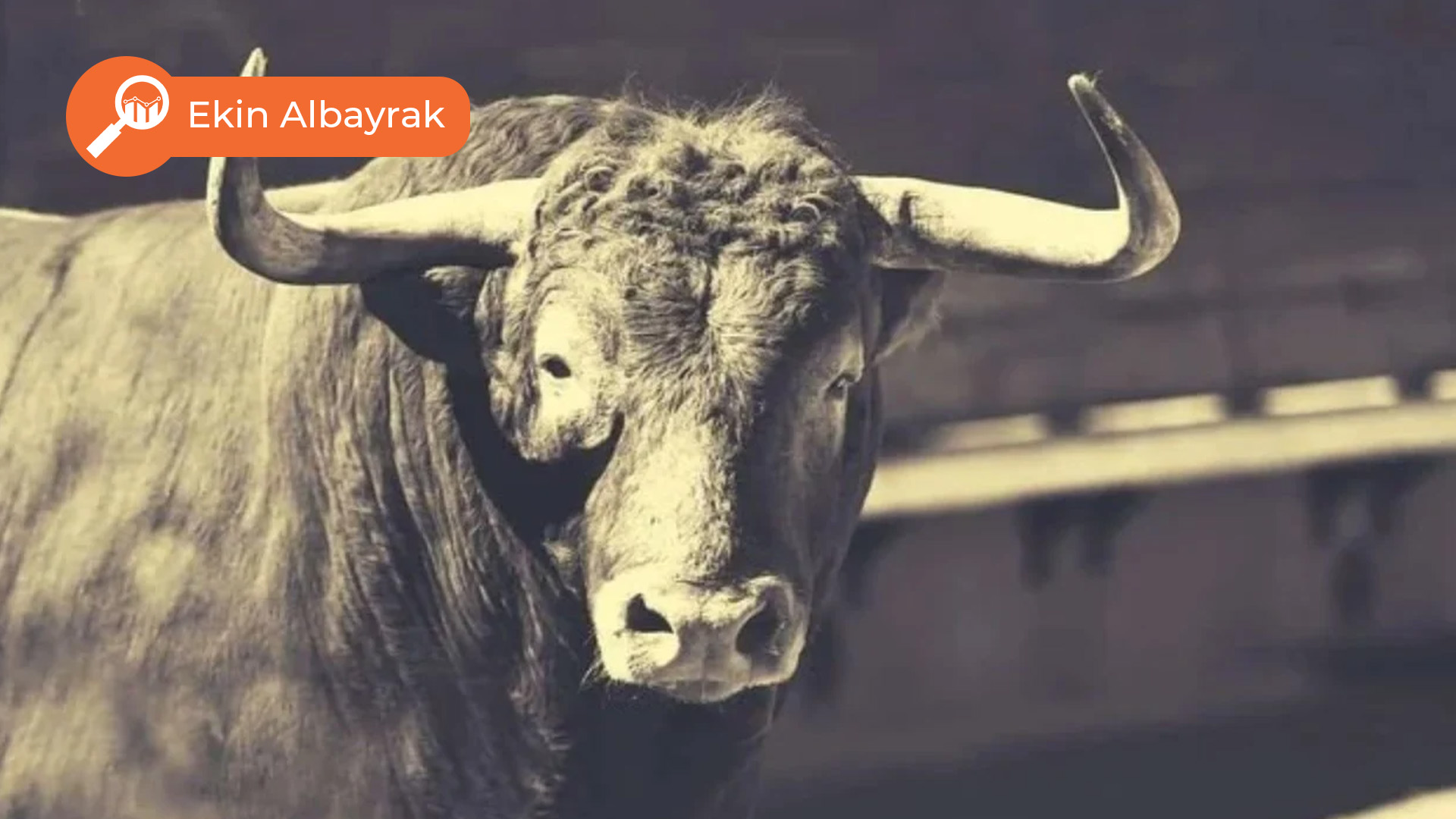 Kripto para boğa