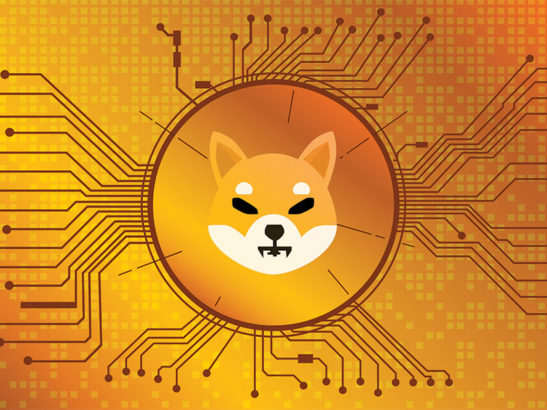 Shiba Inu