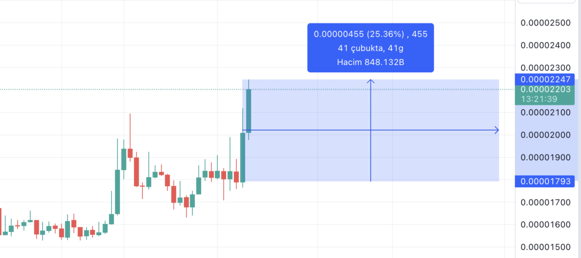 Popüler Memecoin Floki (Floki) Yükselişe Geçti