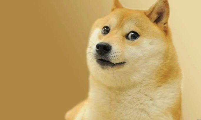 SHIB 1