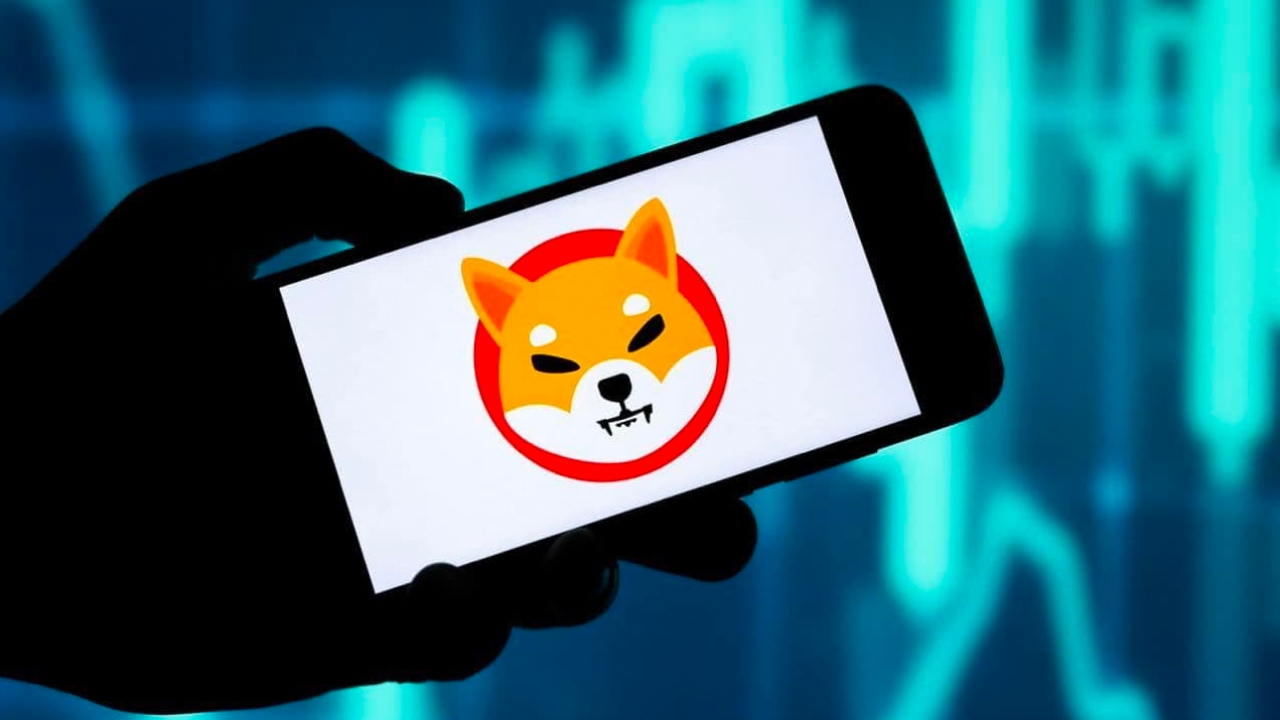 SHIB Shiba Grafik