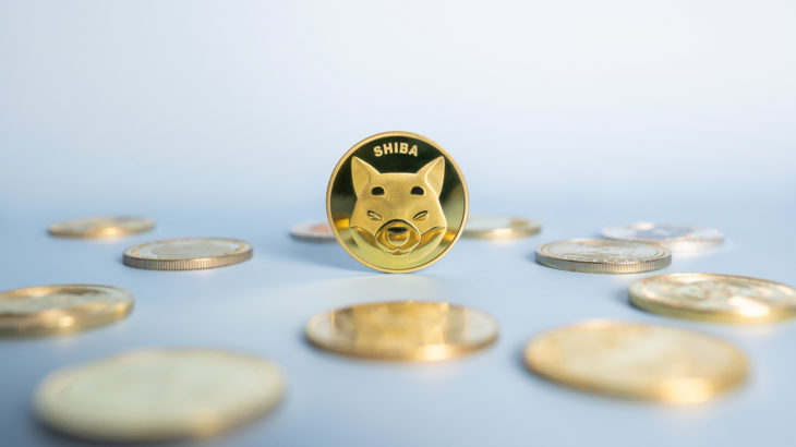 Shiba Inu cryptocurrency coin close up