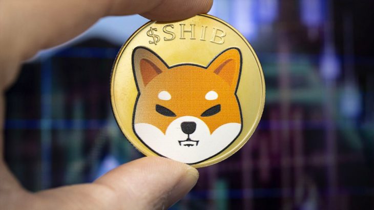 SHIB shiba