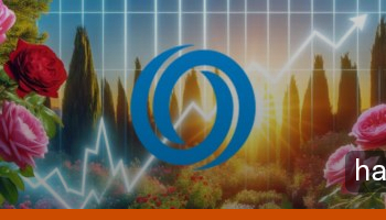 oasis network rose yükseliyor