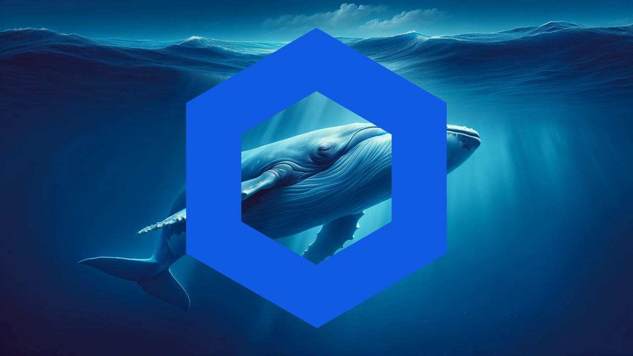Chainlink LINK yükseliş balina