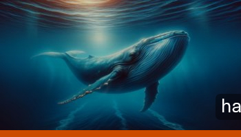 Maker MKR balina birikimi