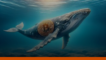 BTC Bitcoin balina