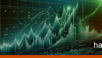 memecoin meme yükseliş yaşadı