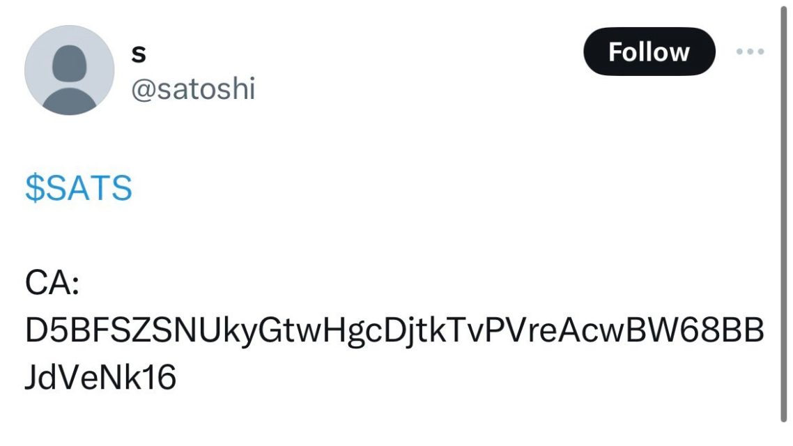 satoshi coin