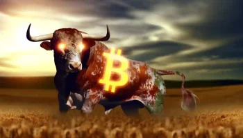 bitcoin halving ralli