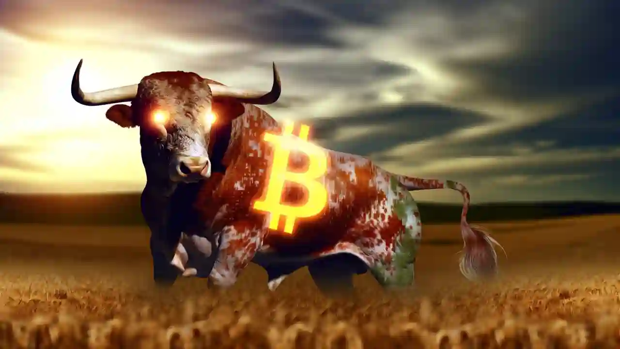bitcoin halving ralli