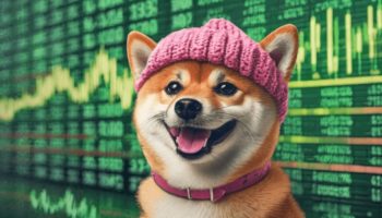 dogwifhat coin