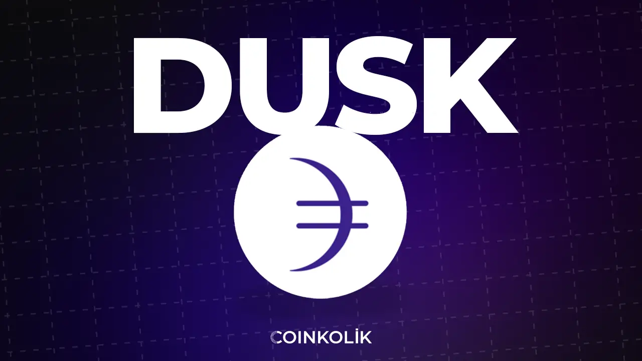 dusk coin nedir