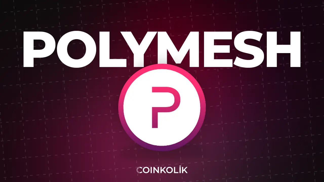 polymesh polyx nedir