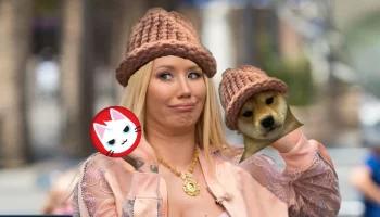 memecoin performans kripto