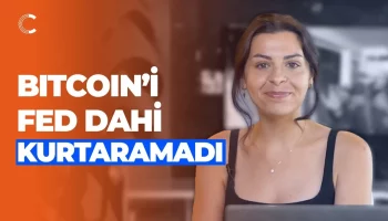 bitcoini fed dahi kurtaramadi