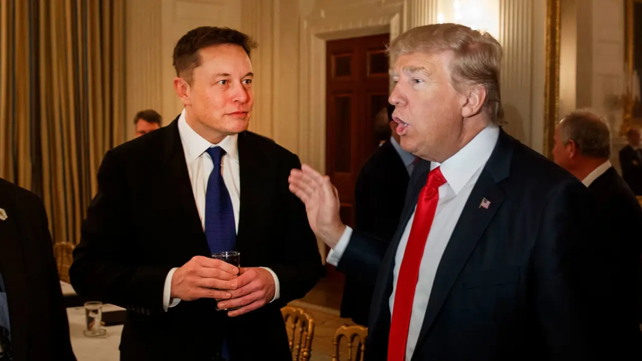 elon trump