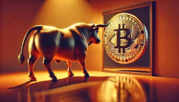 boga btc bitcoin