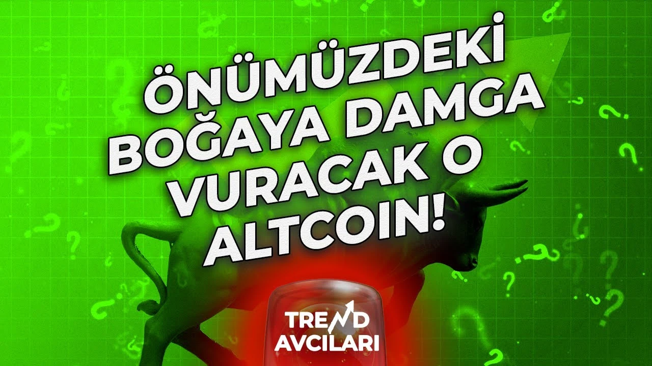onumuzdeki bogaya damga vuracak o altcoin