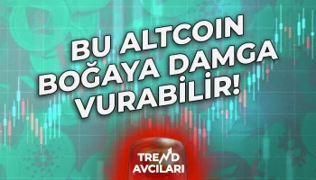bu altcoin bogaya damga vurabilir