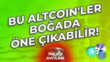 bu altcoinler bogada one cikabilir