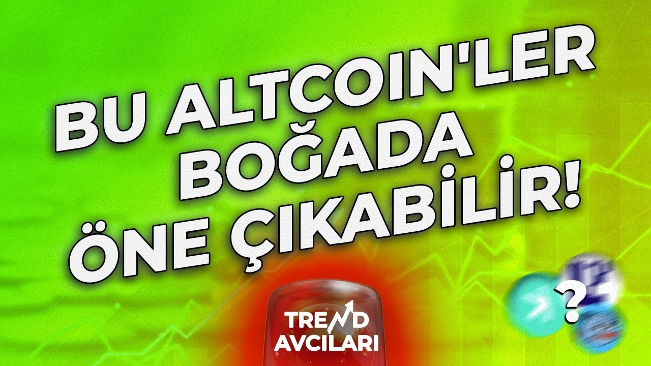 bu altcoinler bogada one cikabilir