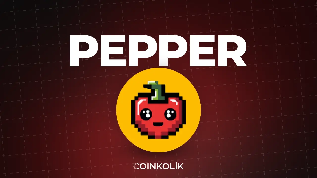 PEPPER nedir?